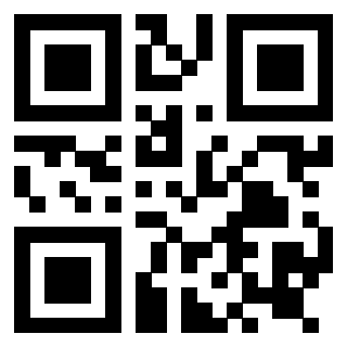 Il Qr Code di 3919145005