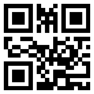 Il Qr Code di 3919145056