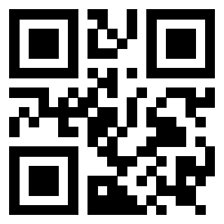 Il QrCode di 3919145064