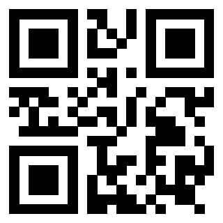 QrCode di 3919145067