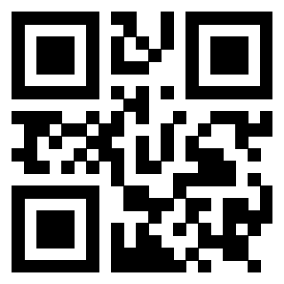 Il Qr Code di 3919145069