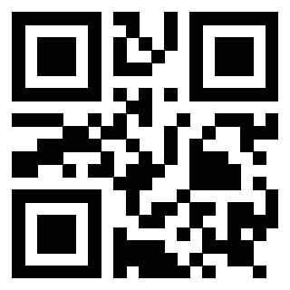 Il QrCode di 3919145071