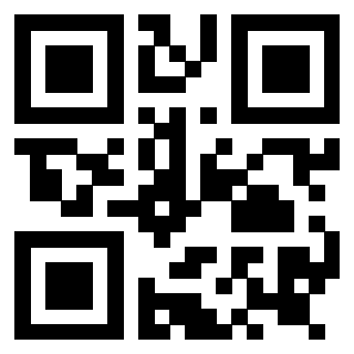 Il Qr Code di 3919145093