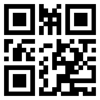 Il Qr Code di 3919145095