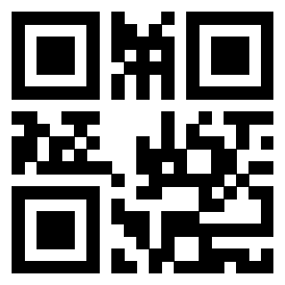 Il Qr Code di 3919145160