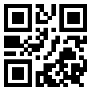 Il Qr Code di 3919145165