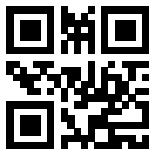 Il Qr Code di 3919145171