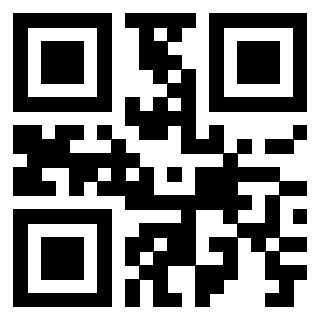 Il Qr Code di 3919145193