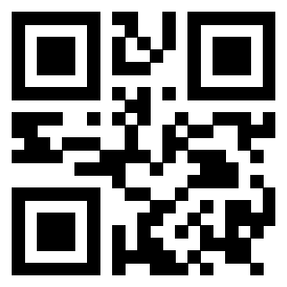 Il Qr Code di 3919145240