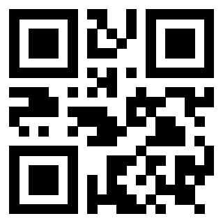 Il Qr Code di 3919145261