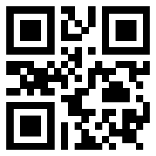 Il Qr Code di 3919145293