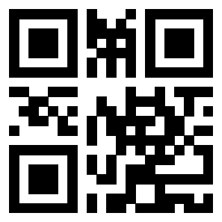 Il Qr Code di 3919145303