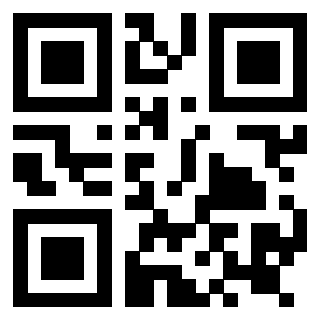 Il Qr Code di 3919145309