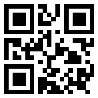 Il Qr Code di 3919145312