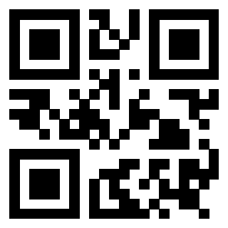 Il Qr Code di 3919145313
