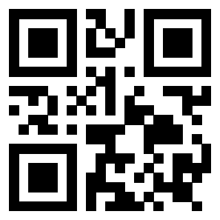 Il Qr Code di 3919145326