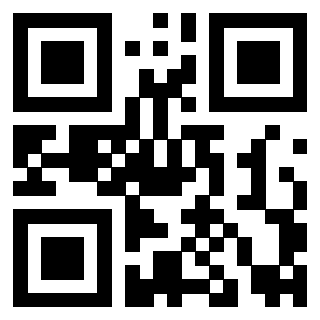 Il QrCode di 3919145372
