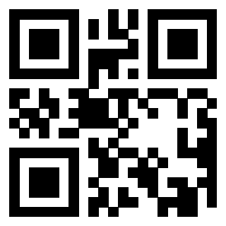 Il Qr Code di 3919145384