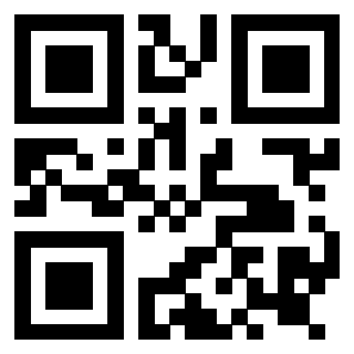 Il Qr Code di 3919145409