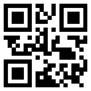 Il Qr Code di 3919145413