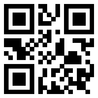 Il Qr Code di 3919145451