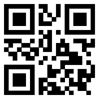 Il Qr Code di 3919145539