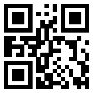 Il Qr Code di 3919145634