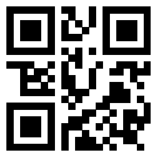 Il Qr Code di 3919145644