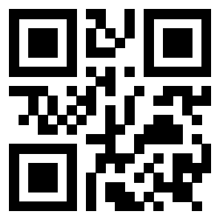 Il QrCode di 3919145658