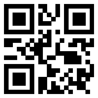 Il Qr Code di 3919145672