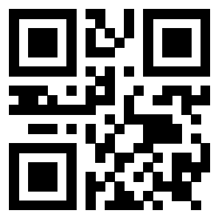 Immagine del Qr Code di 3919145674