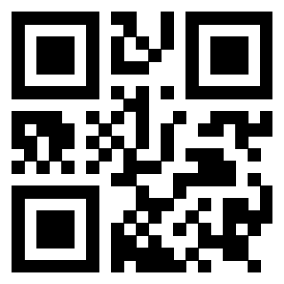 Il Qr Code di 3919145688