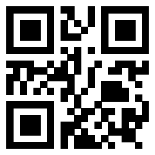 Il QrCode di 3919145691