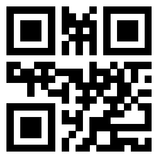 Il Qr Code di 3919145699