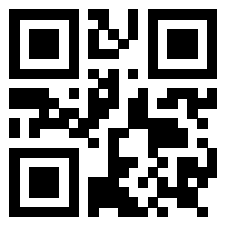 Il Qr Code di 3919145726