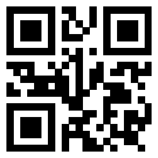 QrCode di 3919145737