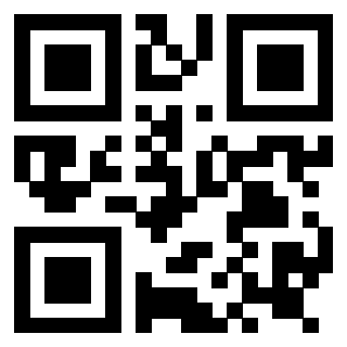 Il Qr Code di 3919145756