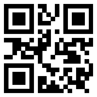Il Qr Code di 3919145793