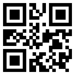 Il Qr Code di 3919145806