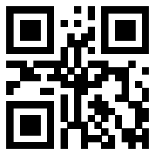 QrCode di 3919145813
