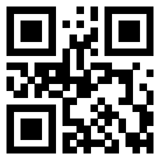 Il Qr Code di 3919145831