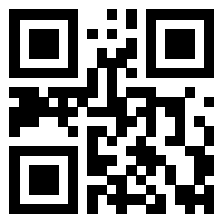QrCode di 3919145863