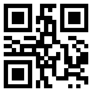 Il Qr Code di 3919145899