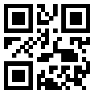 Il Qr Code di 3919145903