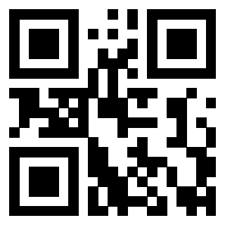 Il Qr Code di 3919145907