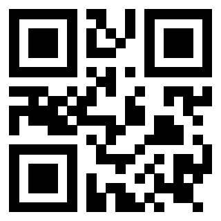Il Qr Code di 3919145930