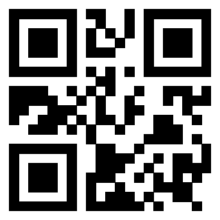 Il Qr Code di 3919145950
