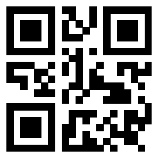 Il Qr Code di 3919145972