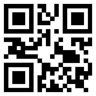 QrCode di 3919145981