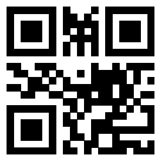 Il Qr Code di 3919145991